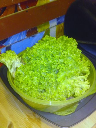 se lige en masse salat.det hedder et salathoved.dette her er bare grønt.Det vi spiste i går havde røde kanter.